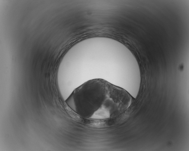 X0000116060278200911201207