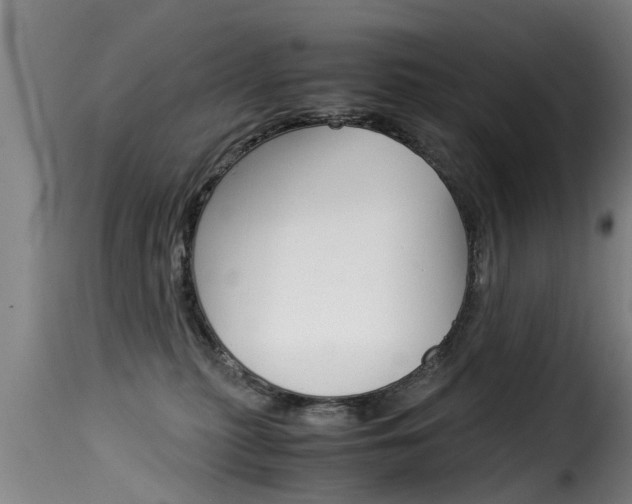 X0000116060279200911201207