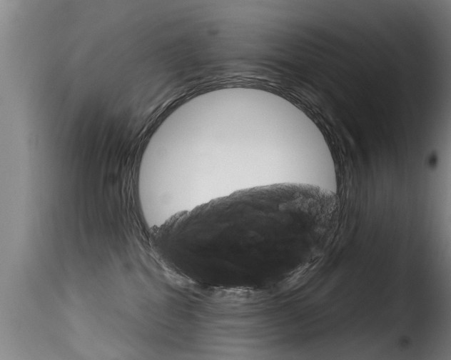X0000116060282200911201207