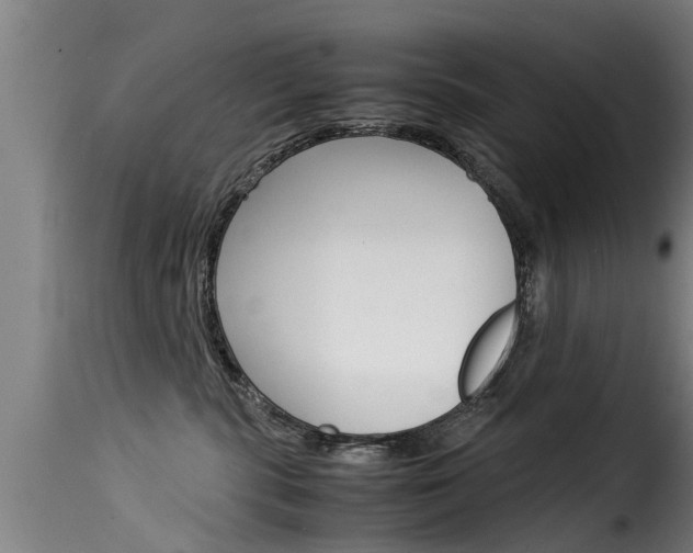 X0000116060283200911201207