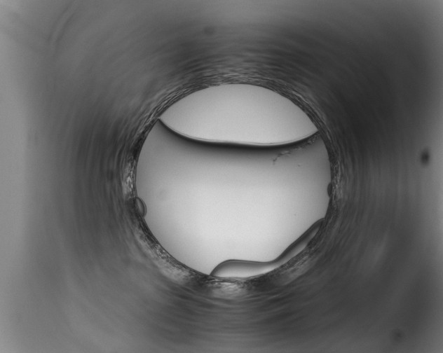 X0000116060285200911201207