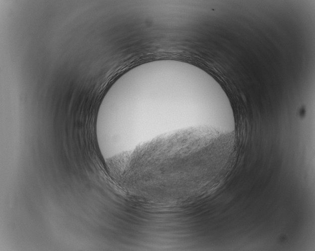 X0000116060286200911201208