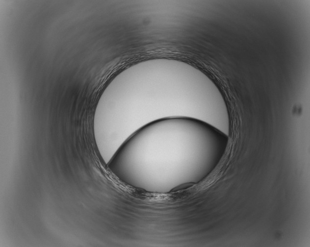 X0000116060288200911201208