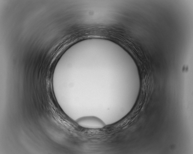 X0000116060290200911201207