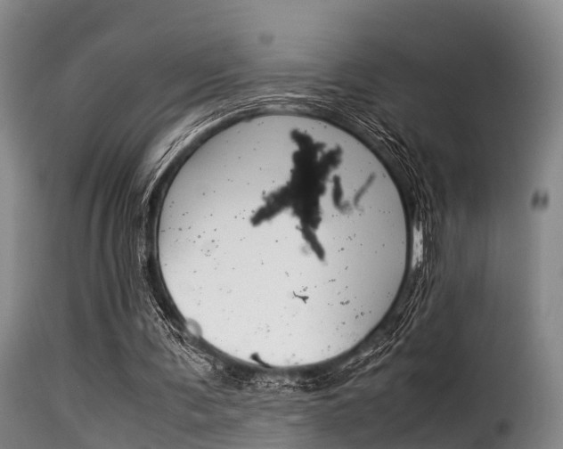 X0000116060291200911201207
