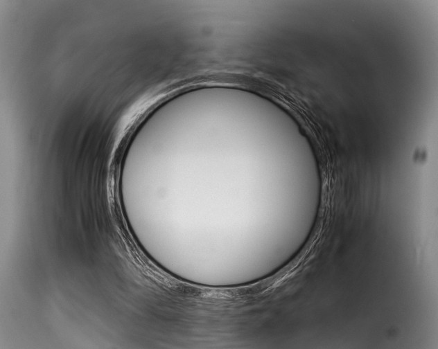 X0000116060294200911201207