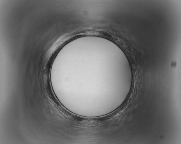 X0000116060295200911201207