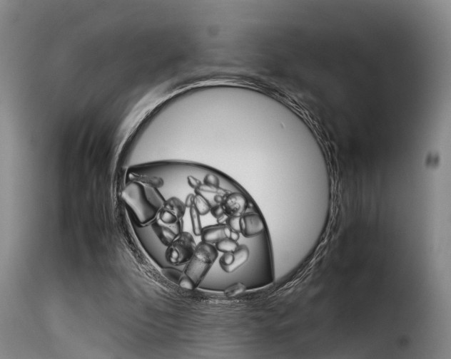 X0000116060296200911201207