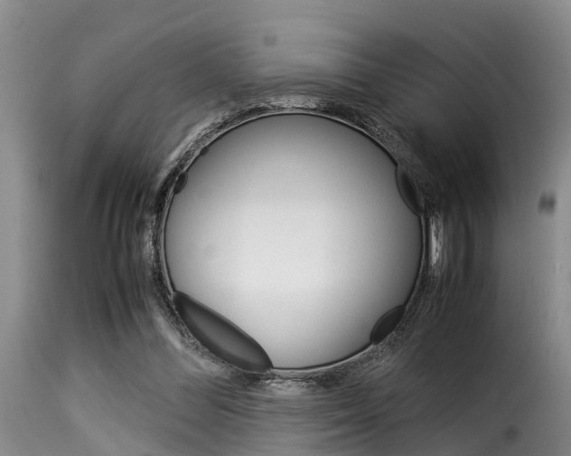 X0000116060300200911201207