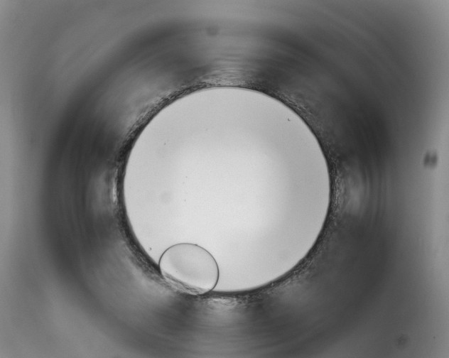 X0000116060302200911201207