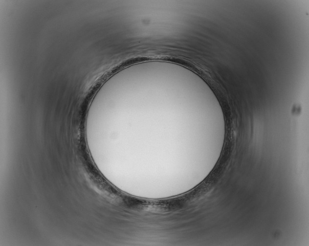X0000116060303200911201207