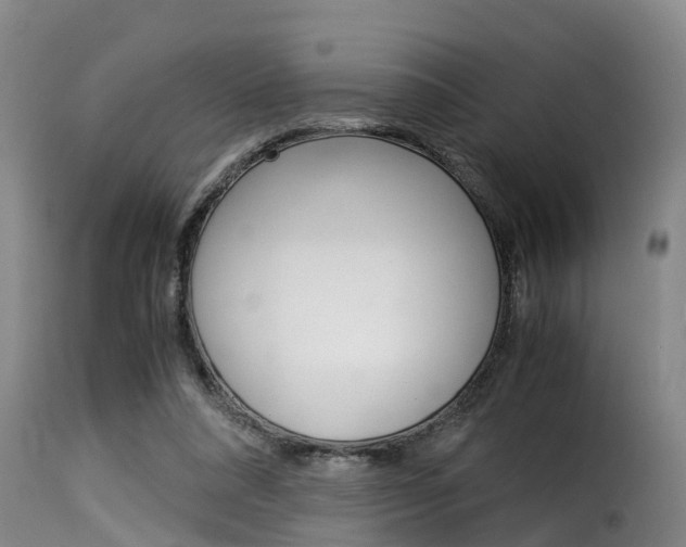 X0000116060304200911201207