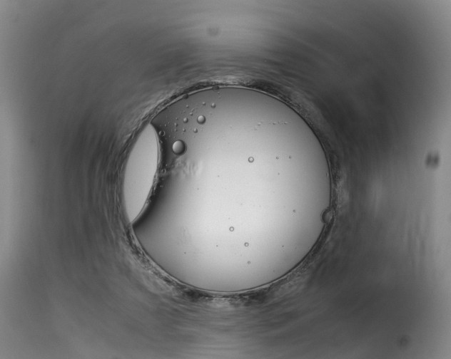 X0000116060305200911201207