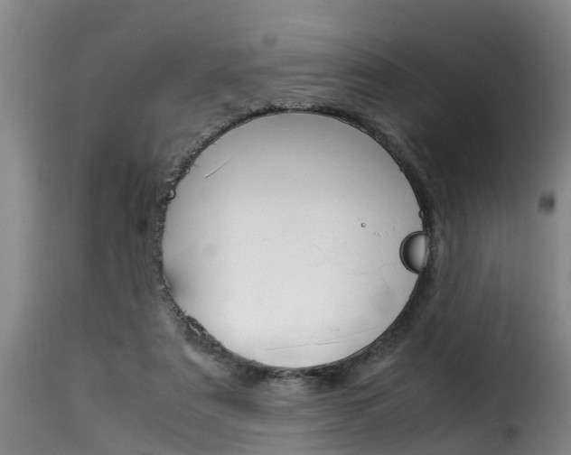 X0000116060307200911201207