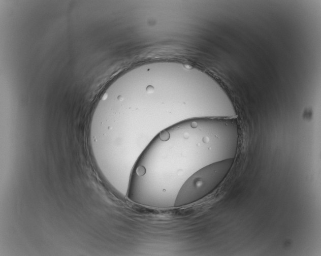 X0000116060309200911201207