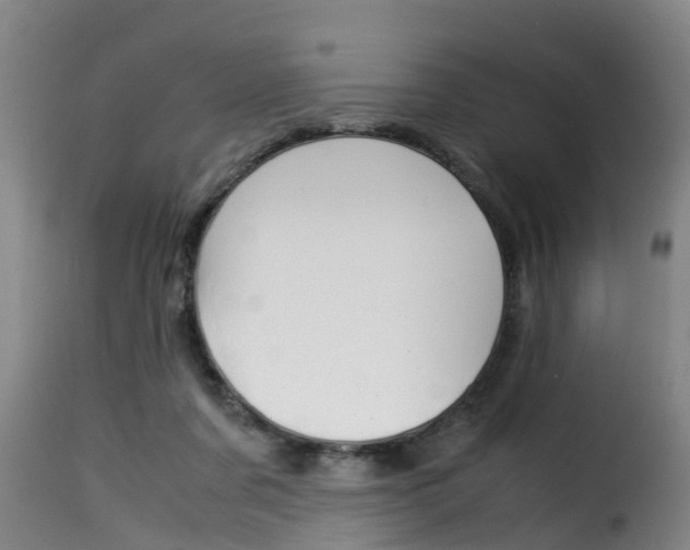 X0000116060311200911201207