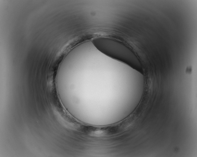 X0000116060312200911201207