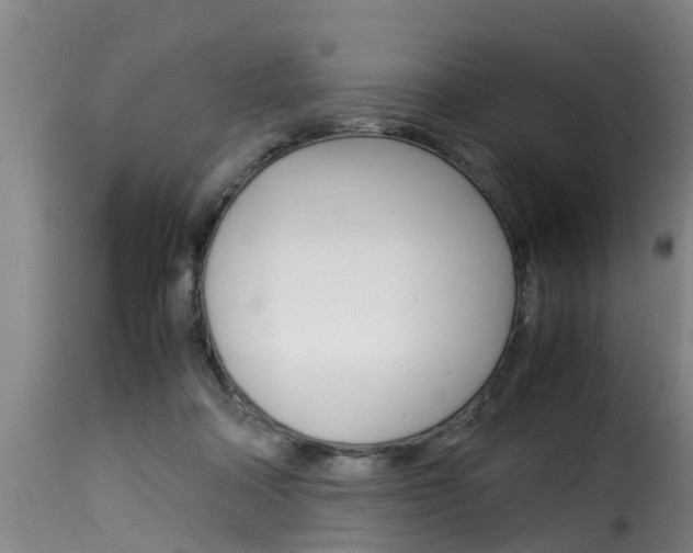 X0000116060314200911201207
