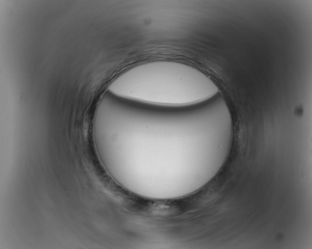 X0000116060315200911201207