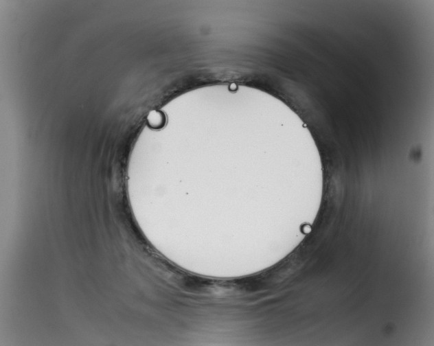 X0000116060317200911201206