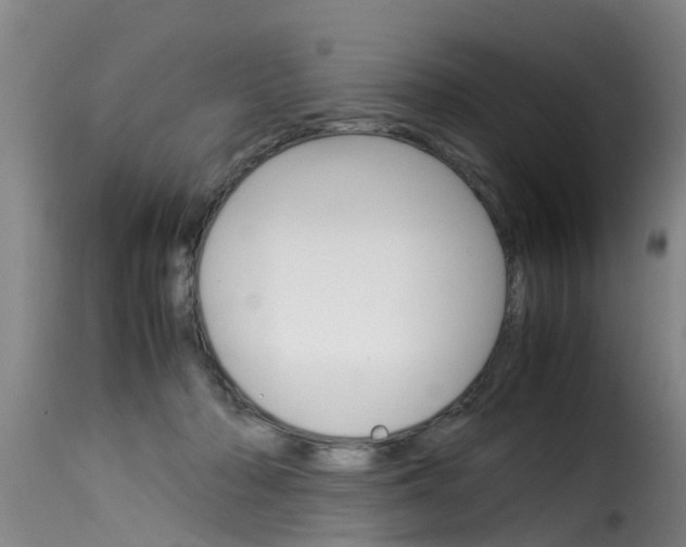 X0000116060318200911201206