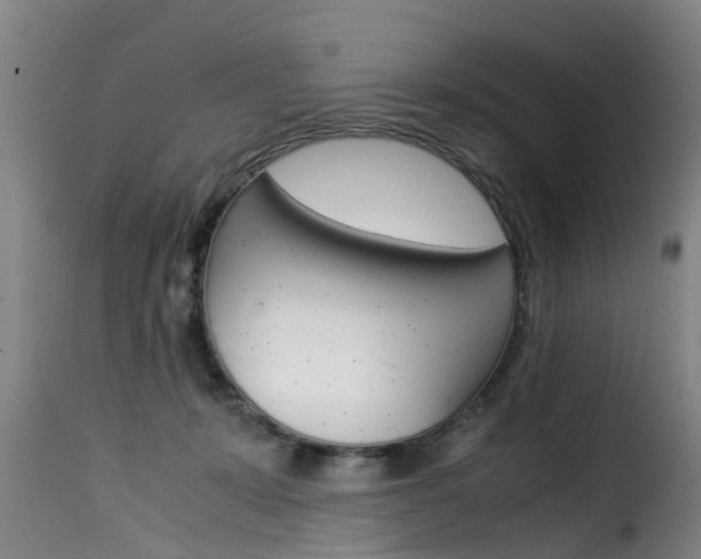 X0000116060319200911201206