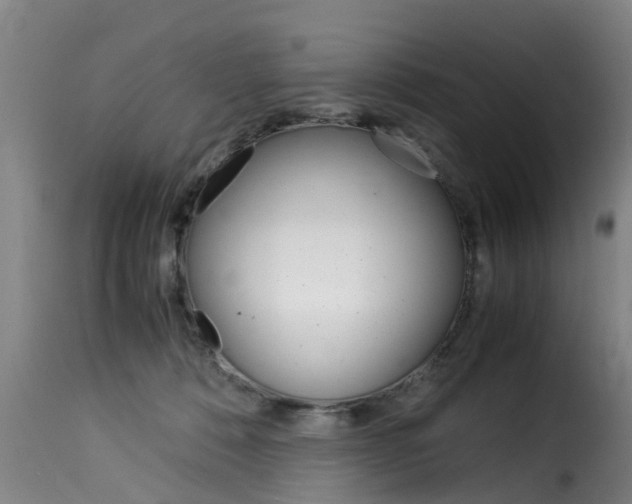 X0000116060320200911201206