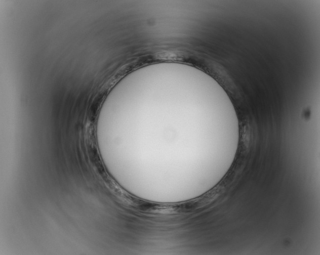 X0000116060322200911201206