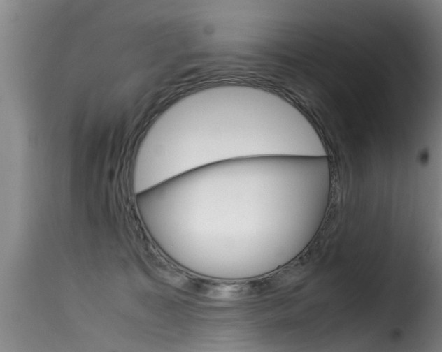 X0000116060323200911201206