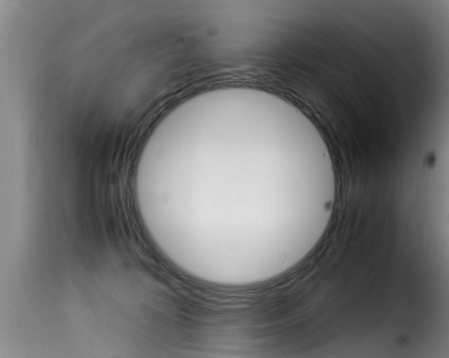 X0000116060324200911201206