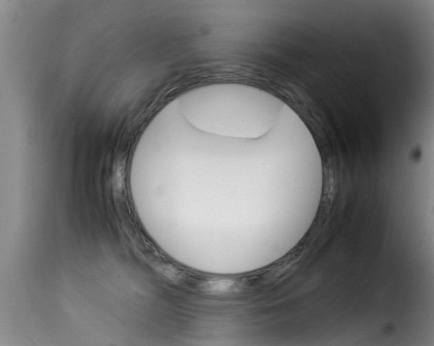 X0000116060326200911201206