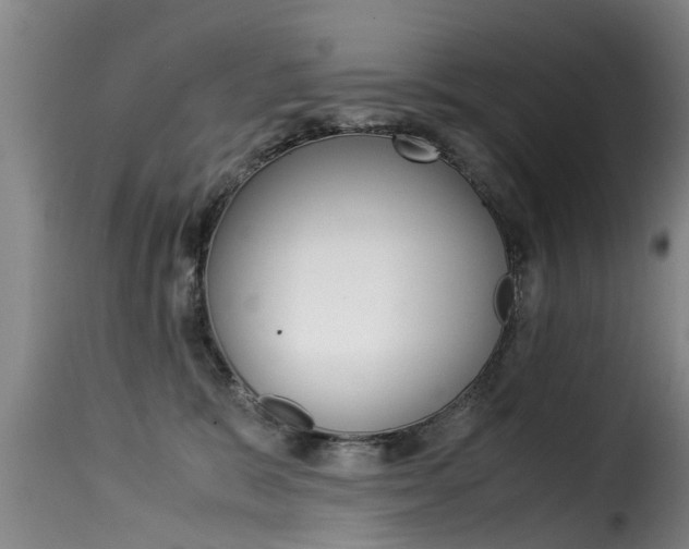 X0000116060327200911201206