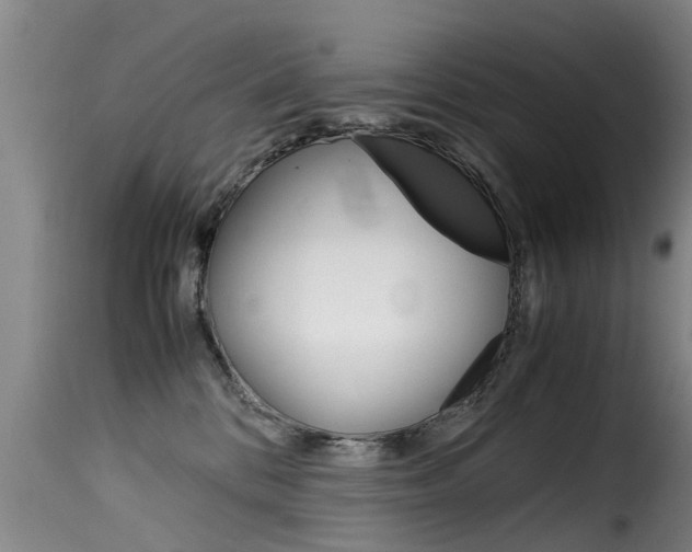 X0000116060328200911201206