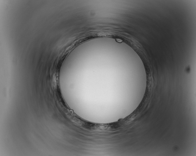 X0000116060329200911201206