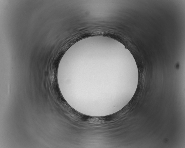 X0000116060331200911201206
