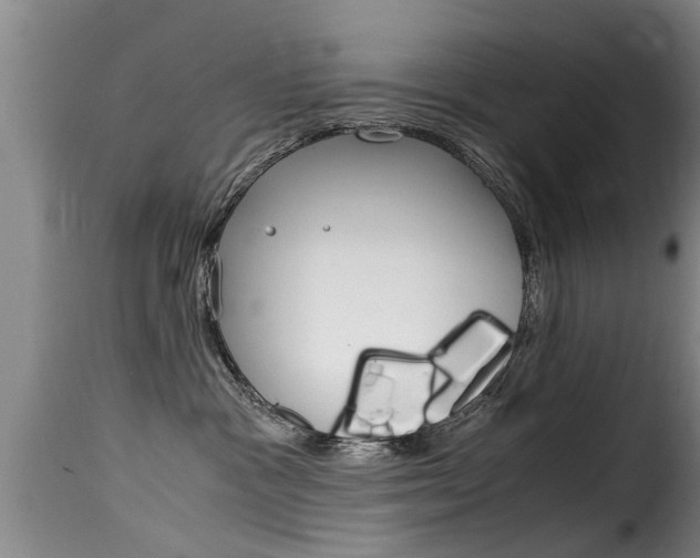 X0000116060333200911201206