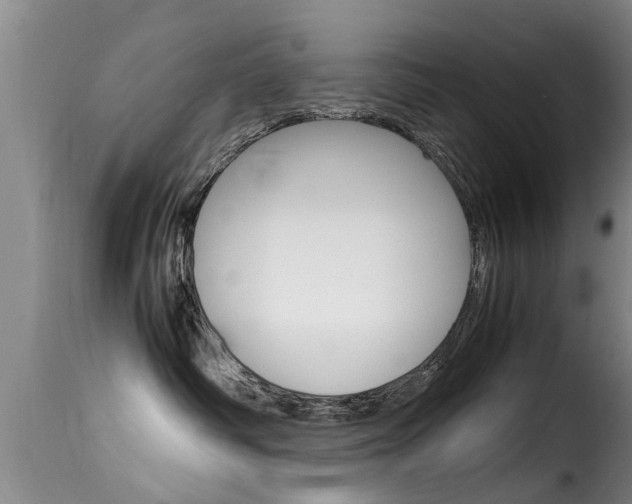 X0000116060334200911201206
