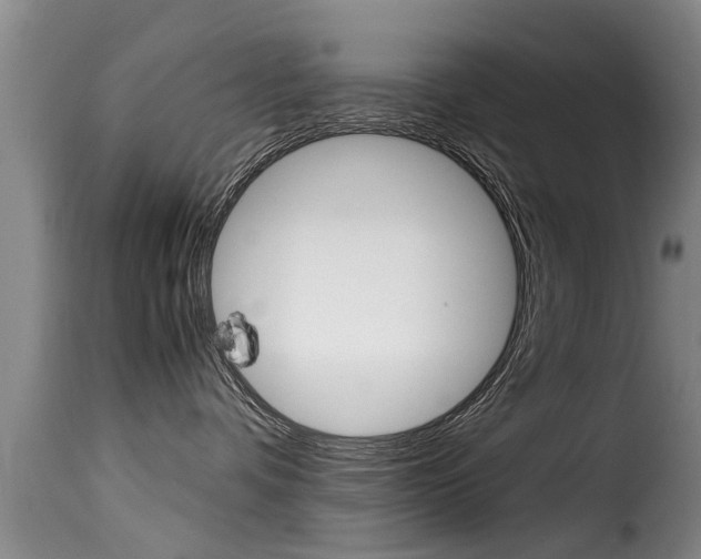 X0000116060336200911201206