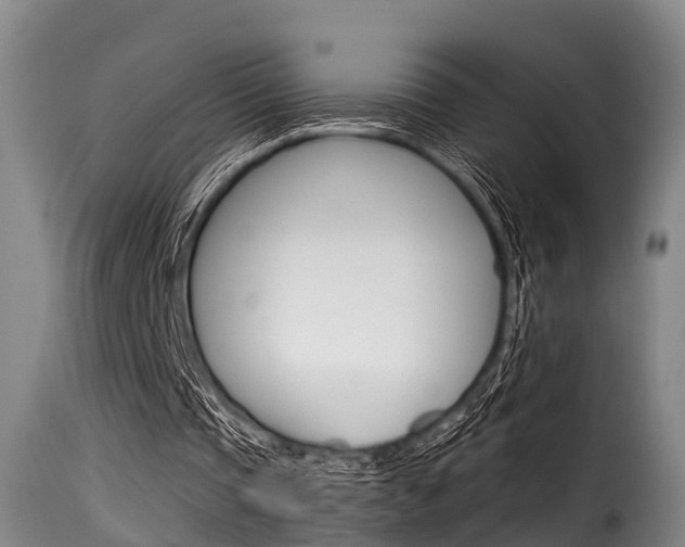 X0000116060337200911201206