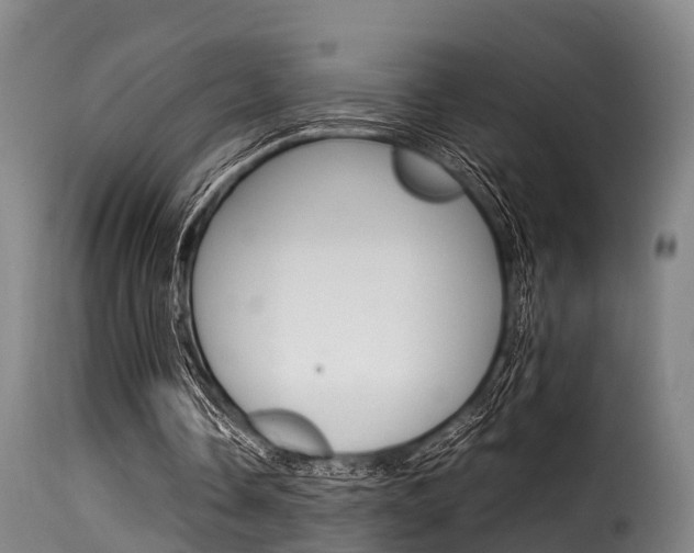 X0000116060338200911201206