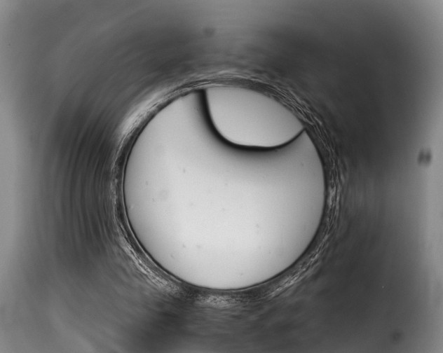 X0000116060341200911201206