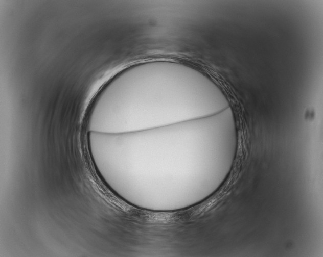 X0000116060342200911201206