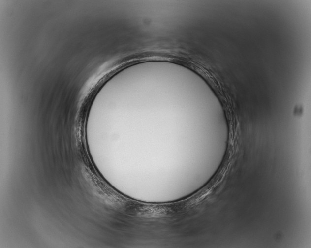 X0000116060343200911201206