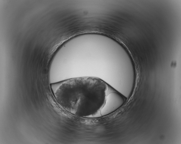X0000116060345200911201206