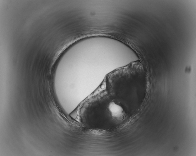 X0000116060346200911201206