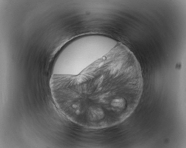 X0000116060347200911201206