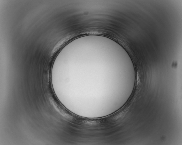 X0000116060349200911201206