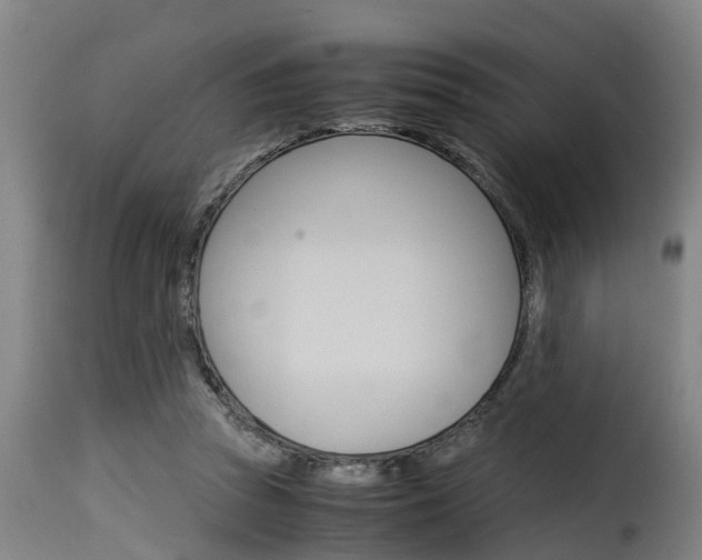 X0000116060353200911201206
