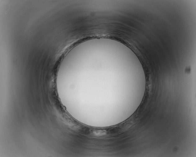 X0000116060355200911201206