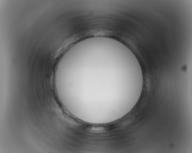 X0000116060357200911201206